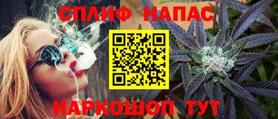 прущие крисы Кингисепп