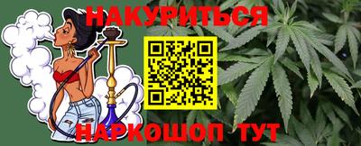 прущие крисы Кингисепп