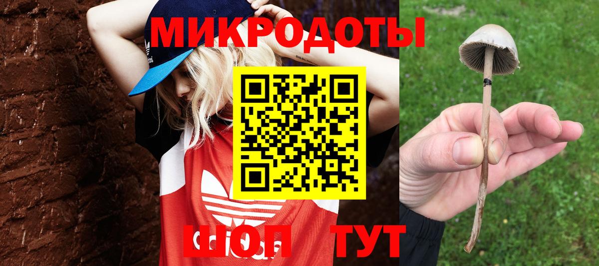 Хабаровск  Галлюциногенные грибы MAGIC MUSHROOMS  Псилоцибиновые грибы Psilocybe  сколько стоит  Вход с VPN 
