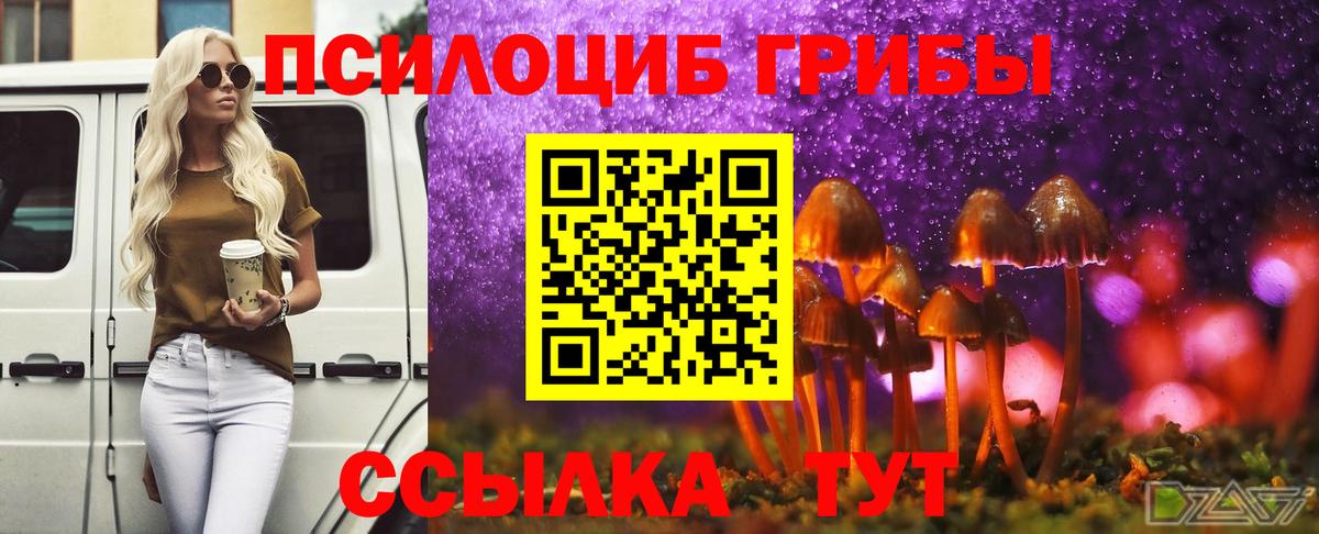 Галлюциногенные грибы Magic Shrooms Хабаровск